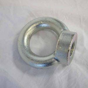 Očesna matica Očesna matica