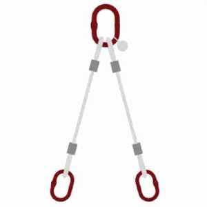 Dvokraka bremenska jeklenica Dvokraka bremenska jeklenica